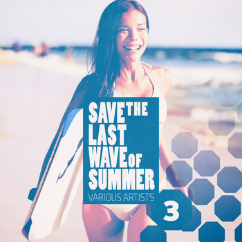 Various Artists - Save the last Wave of Summer, Vol. 3 (Deep & House Grooves)