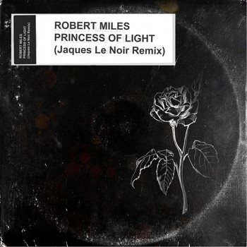Robert Miles - Princess Of Light (Jaques Le Noir Remix)