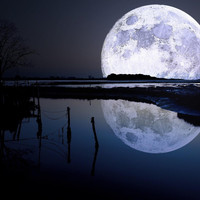 siqlo - Absorbed In The Moon