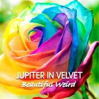 Jupiter in Velvet - Beautiful Weird