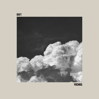 Haft - Pocmus