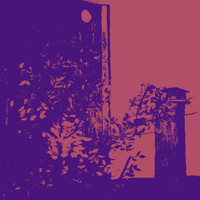 Solar - Otoño