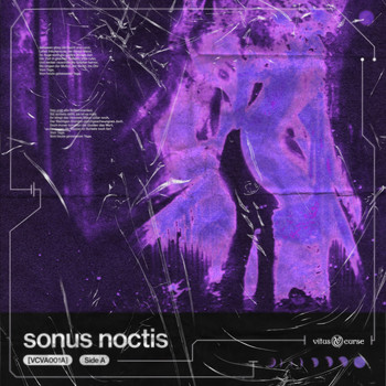 Various Artists - Sonus Noctis / Klang der Nacht