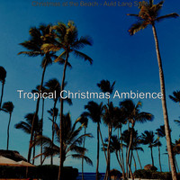 Tropical Christmas Ambience - Christmas at the Beach - Auld Lang Syne