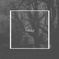 Steven Garza - Voices