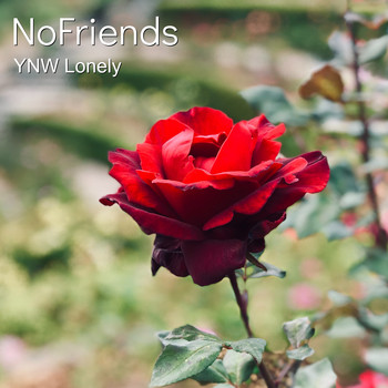 Ynw Lonely - Nofriends