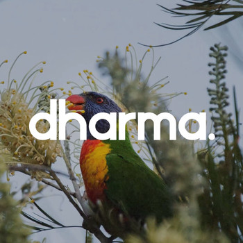 Dharma - Chills