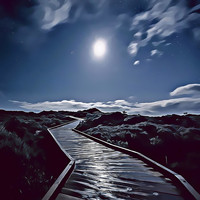 Kaisla - Under a Moonlit Sky