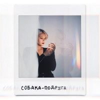 привет марта - собака-подруга