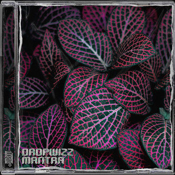 Dropwizz - Mantra