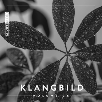 Various Artists - Klangbild, Vol. 36 (Explicit)