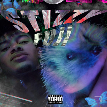 Fuji - Stizzy