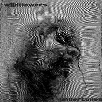 Wildflowers - Undertones (Explicit)