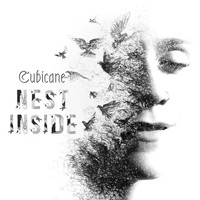 Cubicane - Nest Inside