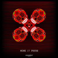 Ming - Focus