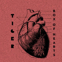 Tiger - Box of Hearts