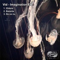 Vid - Imagination