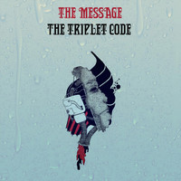 The Triplet Code - The Message
