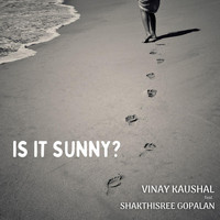 Vinay Kaushal - Is It Sunny? (feat. Shakthisree Gopalan)