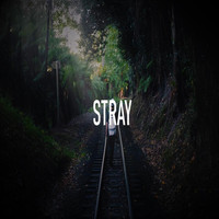 Don'SProduct. - Stray