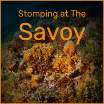 Various Artists - Stomping at the Savoy
