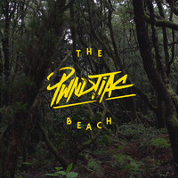 PWNDTIAC feat. KRUE - The Beach