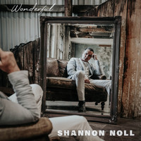 Shannon Noll - Wonderful