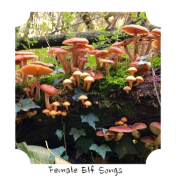 Various Artists - Female Elf Songs
