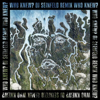 Disclosure, Mick Jenkins - Who Knew? (DJ Seinfeld Remix [Explicit])