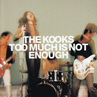 The Kooks - Too Much Is Not Enough