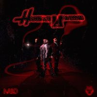 NALO - Hannah Montana (Explicit)