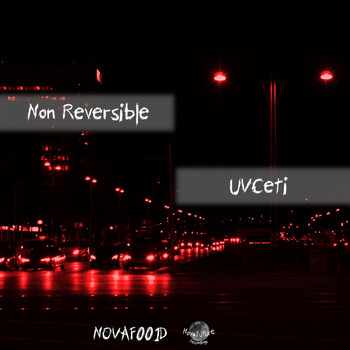Non Reversible - Uvceti