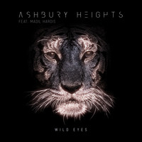 Ashbury Heights - Wild Eyes