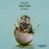 Soul Data - Hot Sauce