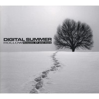 Digital Summer - Hollow