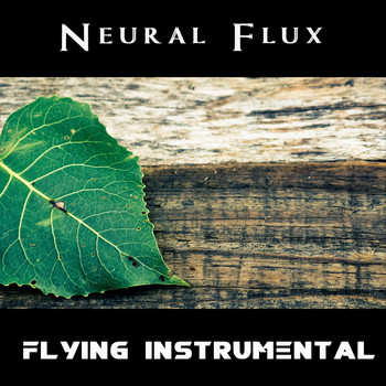 Neural Flux / - Flying (Instrumental)