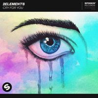 2Elements - Cry For You
