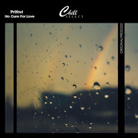 Prithvi / Chill Select - No Cure For Love
