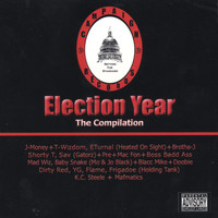 Campaign Records - Election Year: The Compilation