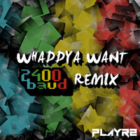PLAYR2 / - Whaddya Want (2400baud Remix)