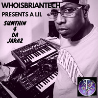 WhoisBriantech - Whoisbriantech Presents a Lil Sumthin 4 Da Jakaz