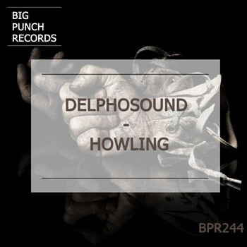 DelphoSound - Howling