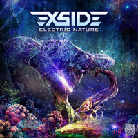X-side - Electric Nature
