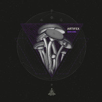 Artifex (IL) - Shrooms