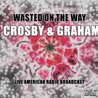 David Crosby & Graham Nash - Wasted on the Way (Live)