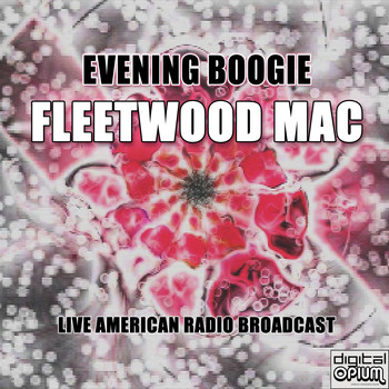 Fleetwood Mac - Evening Boogie (Live)