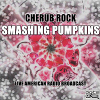 Smashing Pumpkins - Cherub Rock (Live)