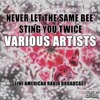 Various Artists - Never Let The Same Bee Sting You Twice