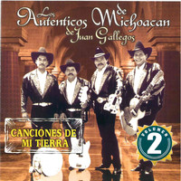 Los Autenticos De Michoacan - Canciones de Mi Tierra, Vol. 2