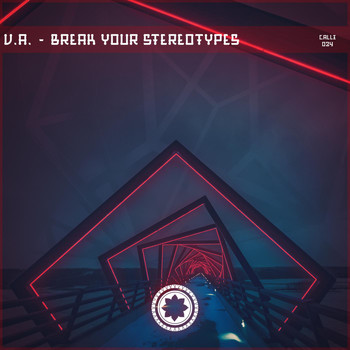 Various Artists - Break Your Stereotypes LP